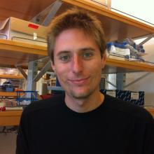 Matteo D'Antonio, Ph.D.